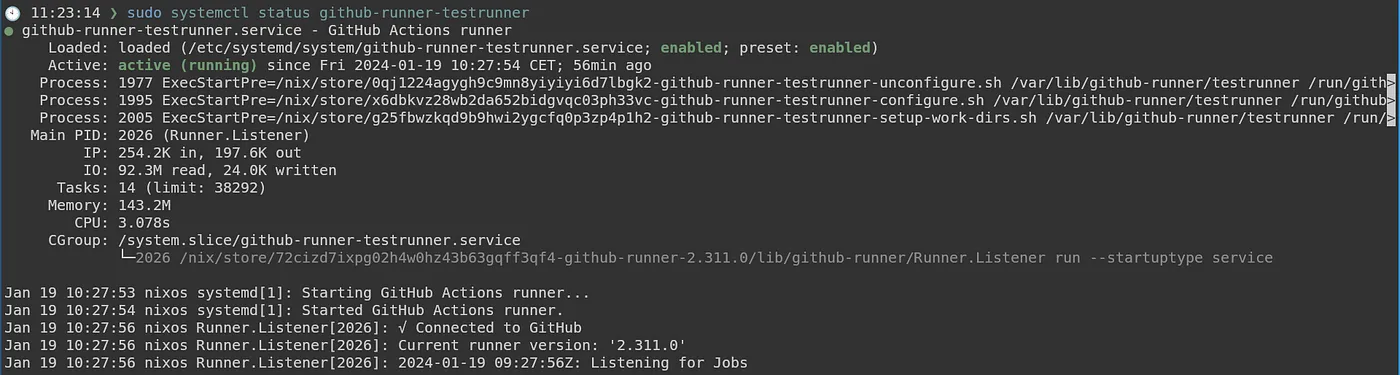 Github runner status